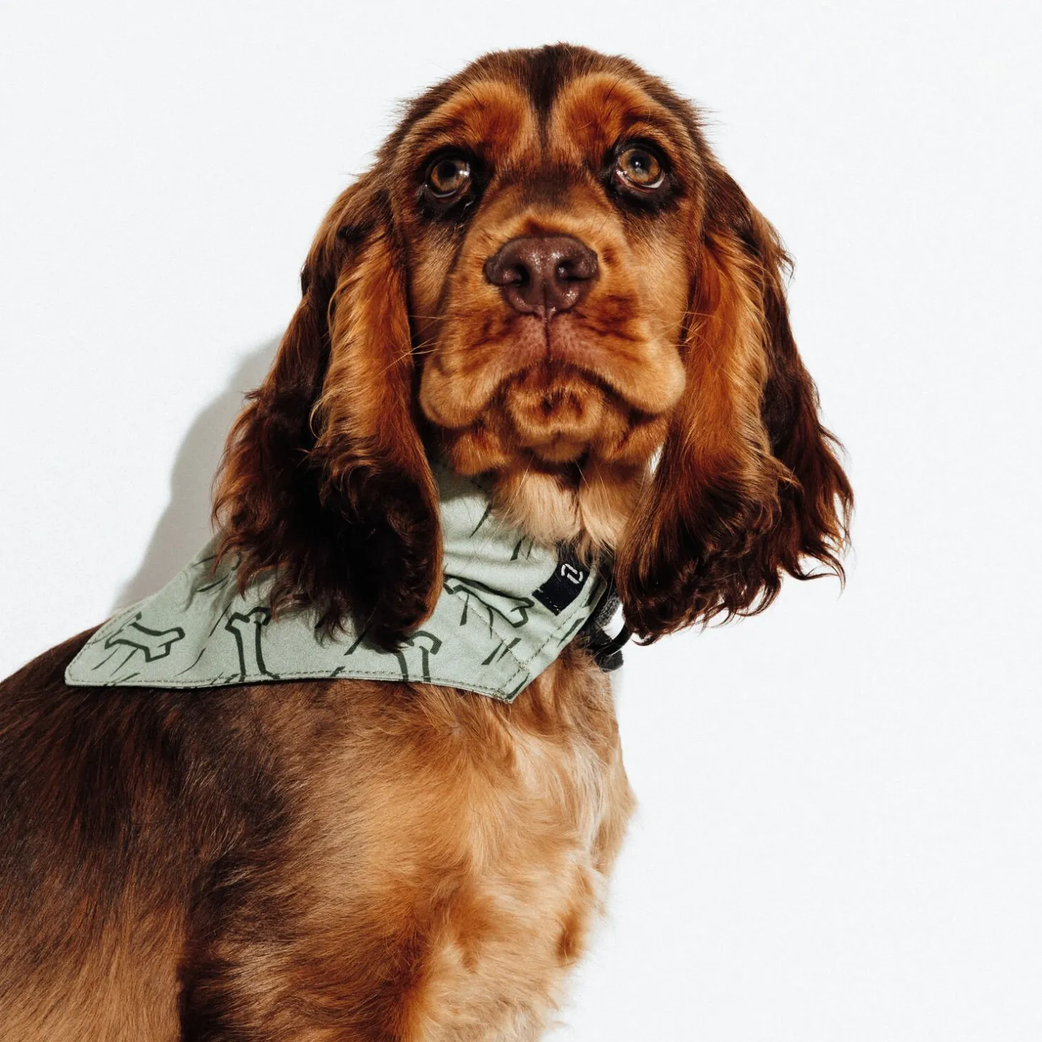 Vêtements Pour Chien-Jules Bandana pour chien Vertkaki