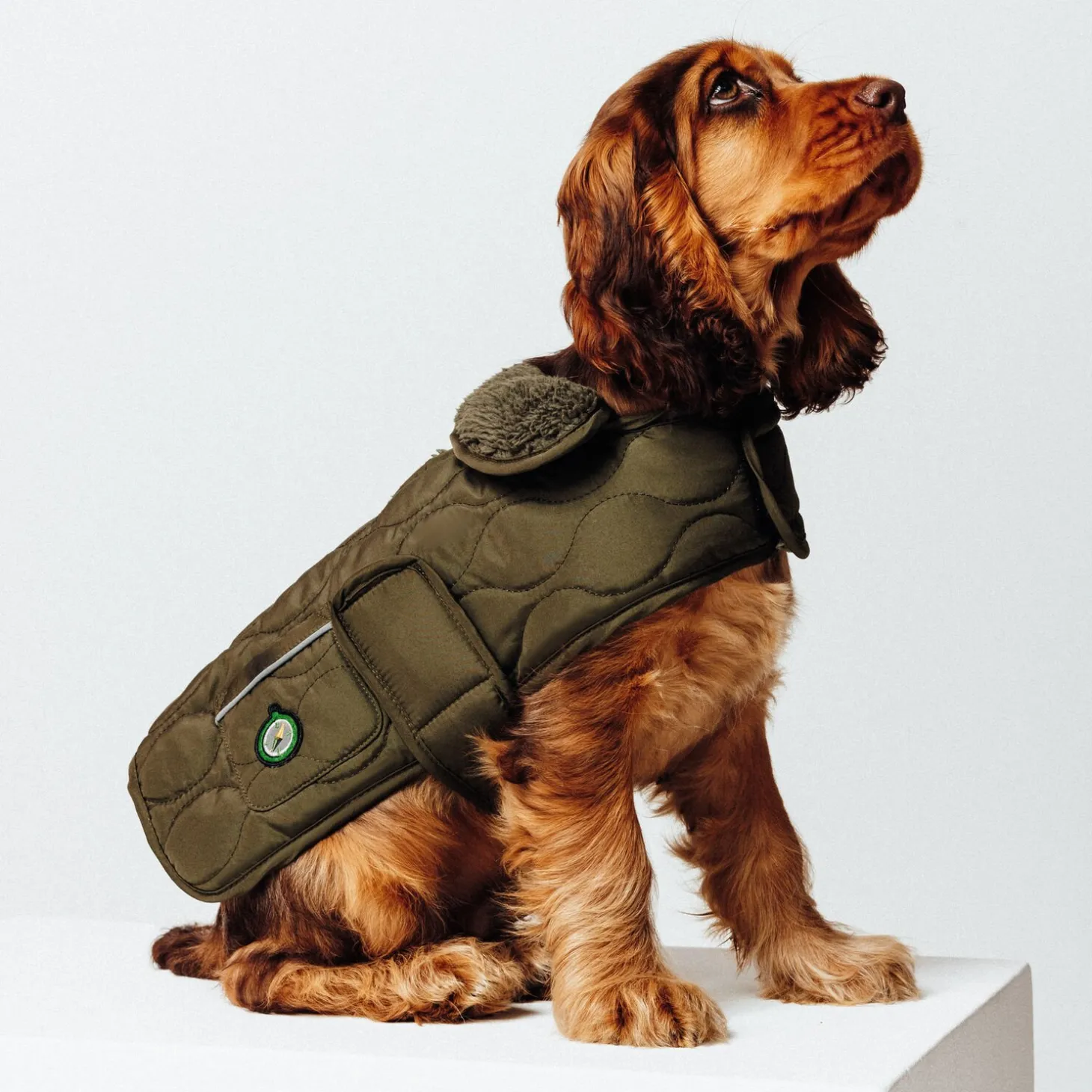 Vêtements Pour Chien-Jules Manteau pour chien Vertkaki